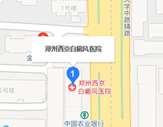 来院路线